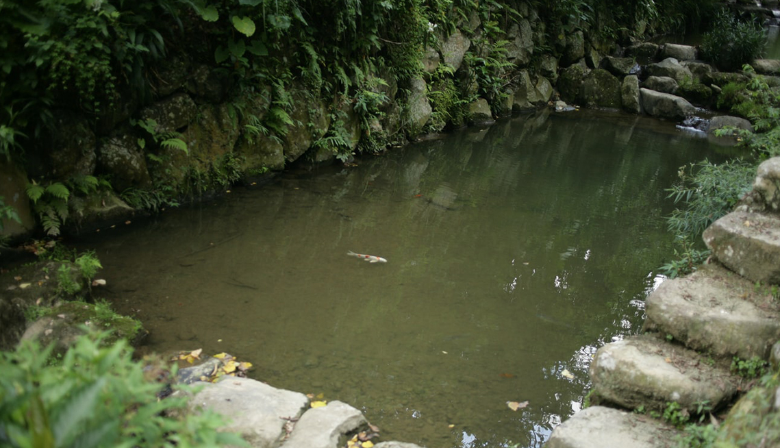 estanque
